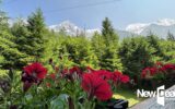 Maison à vendre à Chamonix mont blanc — Vue montagne — photo 22