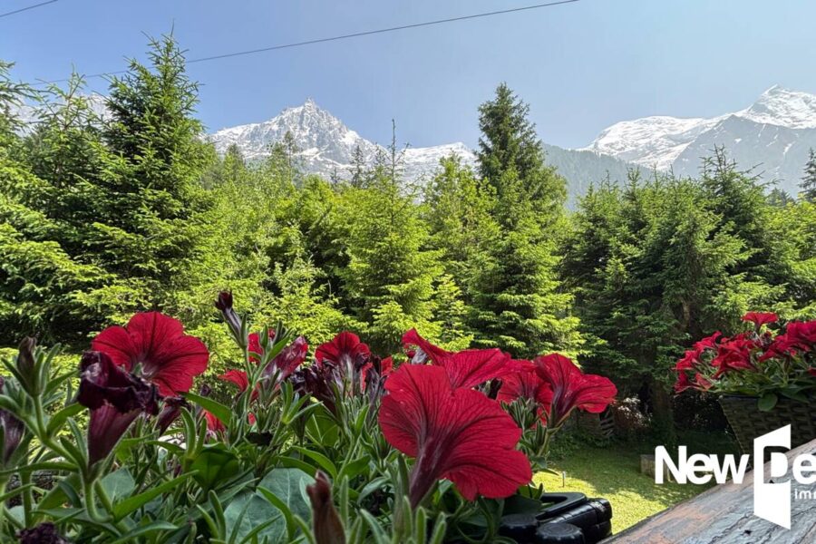 Maison à vendre à Chamonix mont blanc — Vue montagne — photo 22