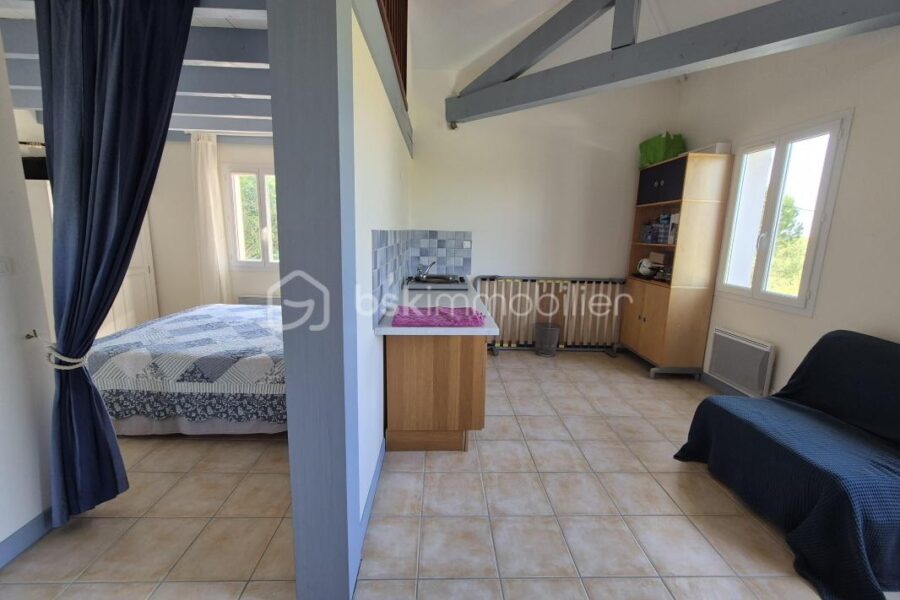Maison à vendre à Lectoure — Vue nature — photo 22