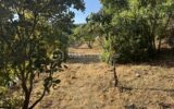 Maison à vendre à La roquebrussanne — Vue nature — photo 22