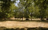 Maison à vendre à Miers — Vue nature — photo 23