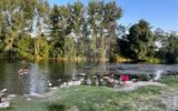 Terrain à vendre à Lamothe-capdeville — Vue fleuve — photo 7