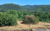 Maison à vendre à Le poujol sur orb — Vue nature — photo 24