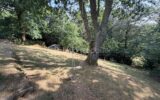 Maison à vendre à Melgven — Vue nature — photo 24