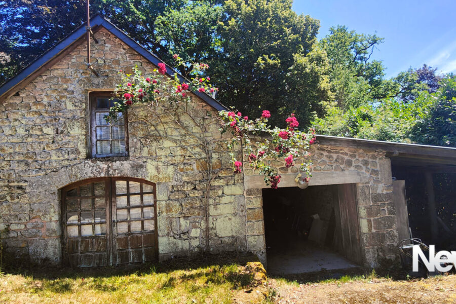 Maison à vendre à Marcillac la croisille — Vue lac — photo 24