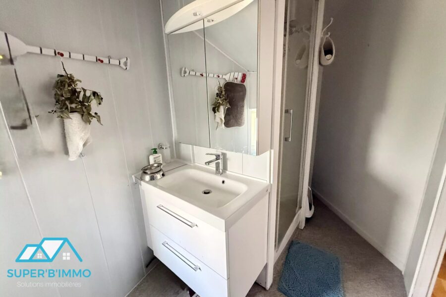 Maison à vendre à Lavoûte-chilhac — Vue fleuve — photo 20