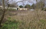 Terrain à vendre à Caen — Vue nature — photo 4