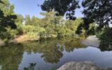 Maison à vendre à Le boulou — Vue fleuve — photo 25