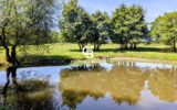 Maison à vendre à Semblançay — Vue parc — photo 1