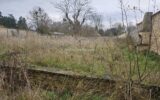 Maison à vendre à Fleury-sur-orne — Vue nature — photo 8