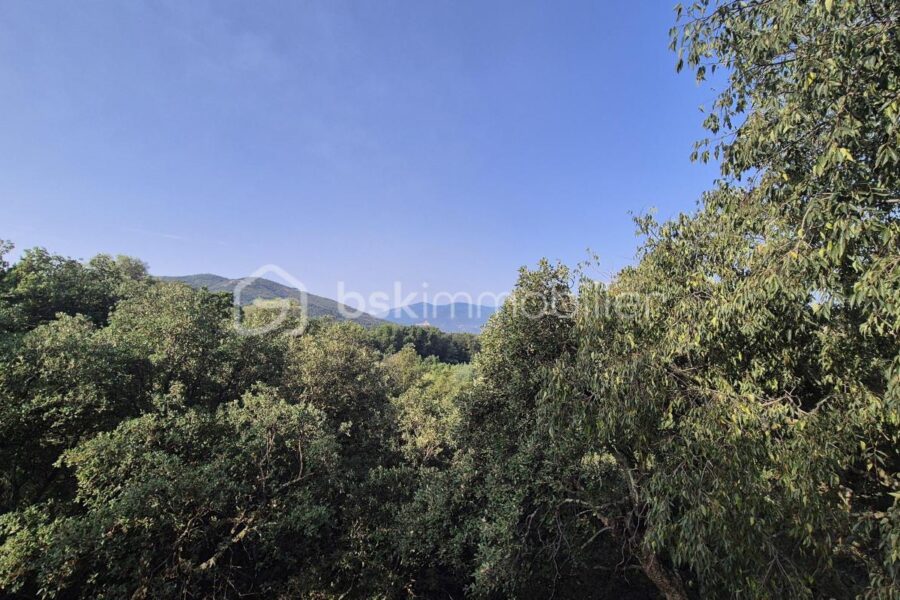 Maison à vendre à Le boulou — Vue fleuve — photo 27