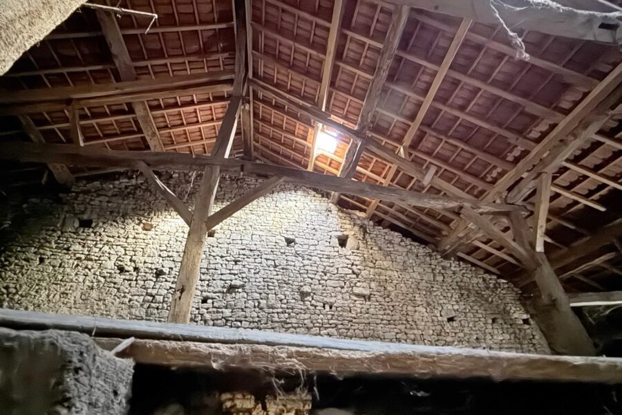 Maison à vendre à Châtillon-sur-saône — Vue nature — photo 20