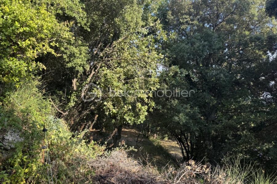 Maison à vendre à La roquebrussanne — Vue nature — photo 28