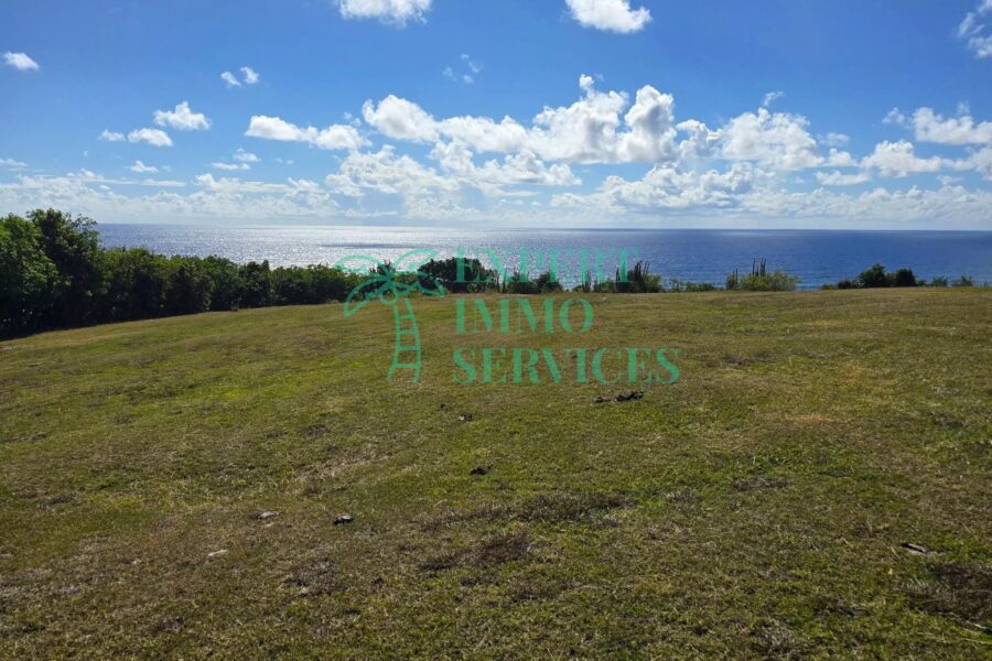 Maison à vendre à Capesterre-de-marie-galante — Vue mer — photo 9