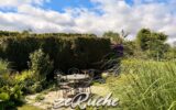 Maison à vendre à Saint-vigor-le-grand — Vue nature — photo 17