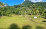 Terrain à vendre à Moorea-maiao — Vue nature — photo 1