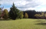 Terrain à vendre à Le val-de-guéblange — Vue nature — photo 3