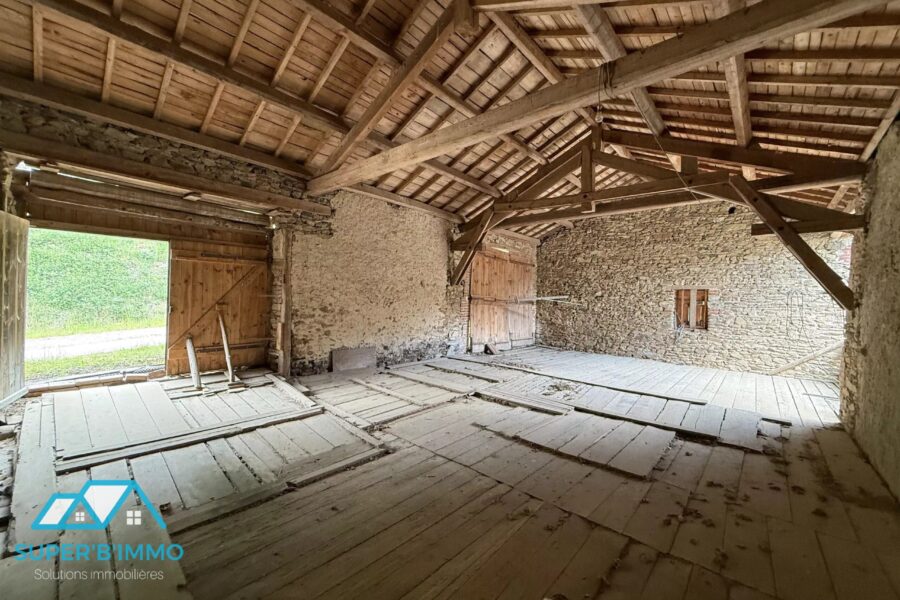 Maison à vendre à Champagnac-le-vieux — Vue nature — photo 20