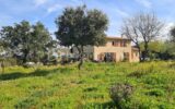 Maison à vendre à La garde freinet