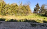 Terrain à vendre à Vernegues — photo 3