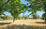 Maison à vendre à Cucuron — Vue nature — photo 3