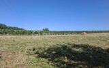Terrain à vendre à Merignas — Vue nature — photo 1