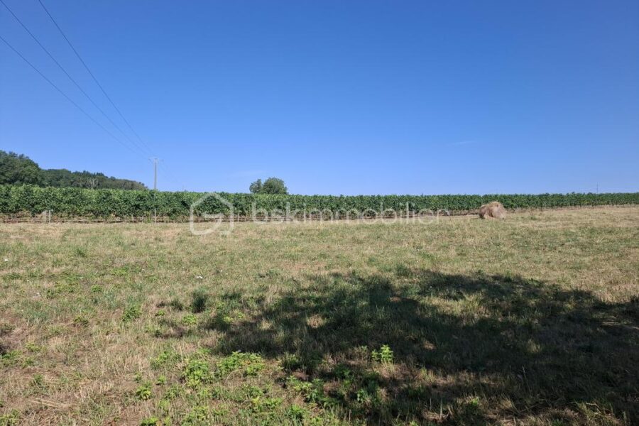 Terrain à vendre à Merignas — Vue nature — photo 1