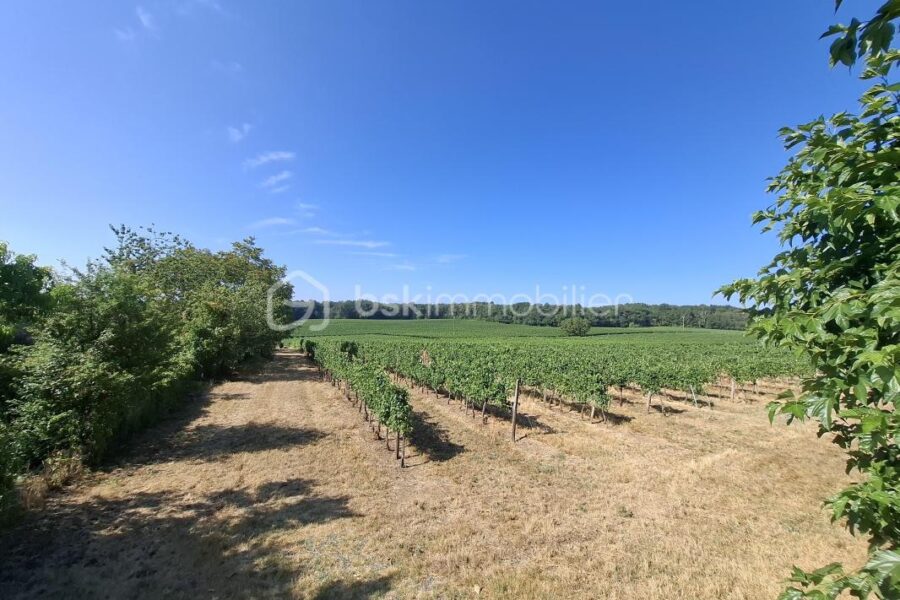 Terrain à vendre à Merignas — Vue vignes — photo 3