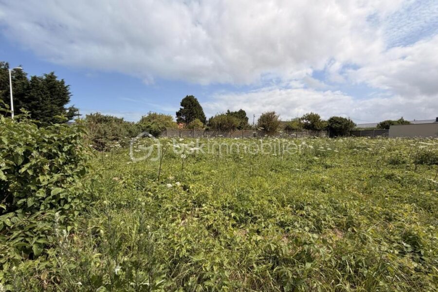 Terrain à vendre à Criel sur mer — Vue nature — photo 3