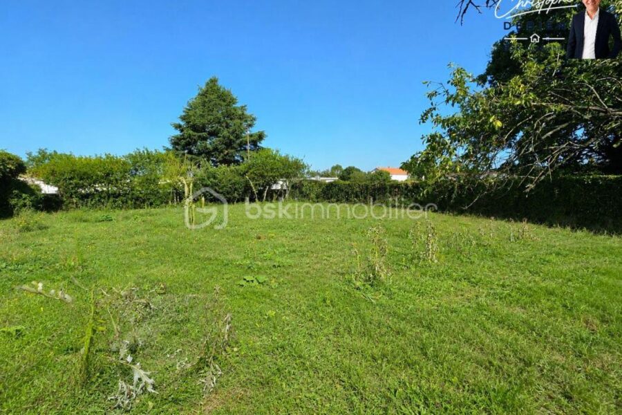Terrain à vendre à Saint martin des noyers — Vue nature — photo 4