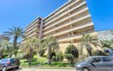 Appartement à louer à Ajaccio — Vue mer — photo 3