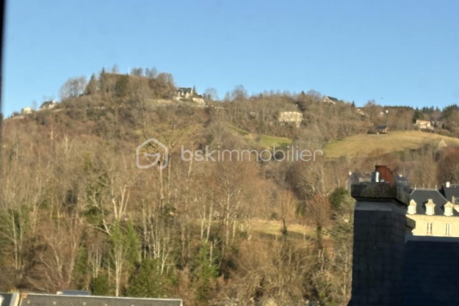 Appartement à vendre à La bourboule — Vue montagne — photo 3