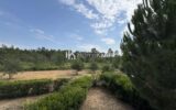 Appartement à vendre à Saint jean d illac — Vue nature — photo 1