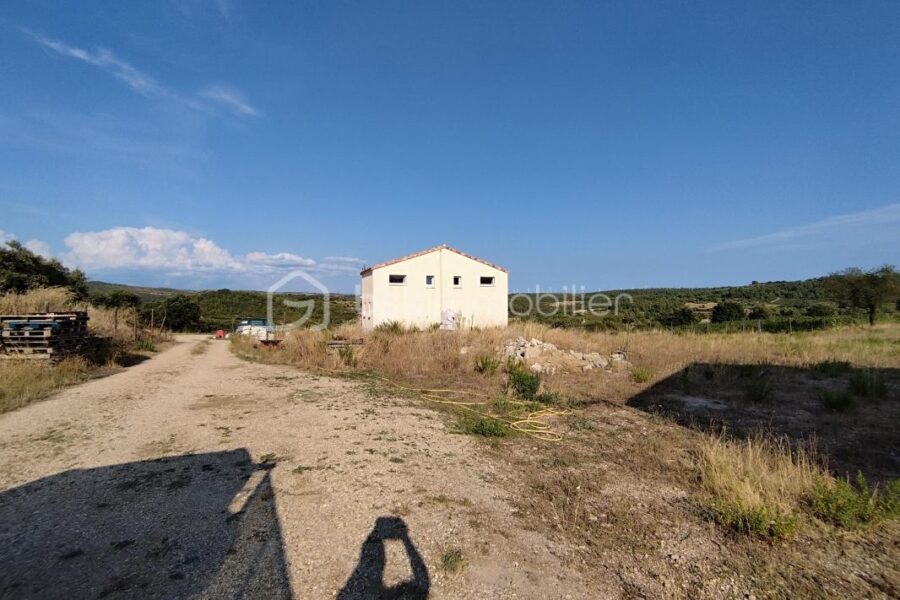 Maison à vendre à Saint pargoire — Vue nature — photo 4