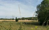 Terrain à vendre à Penchard — Vue nature — photo 1