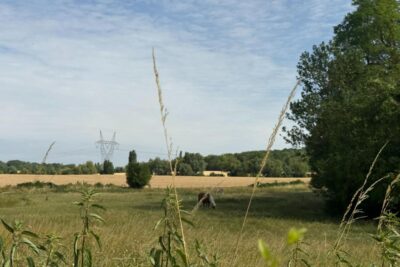 Terrain à vendre à Penchard