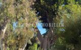 Appartement à vendre à Menton