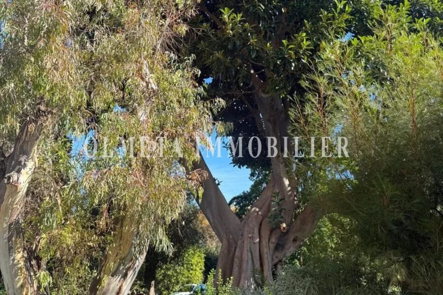 Appartement à vendre à Menton