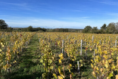 Terrain à vendre à Châteaumeillant