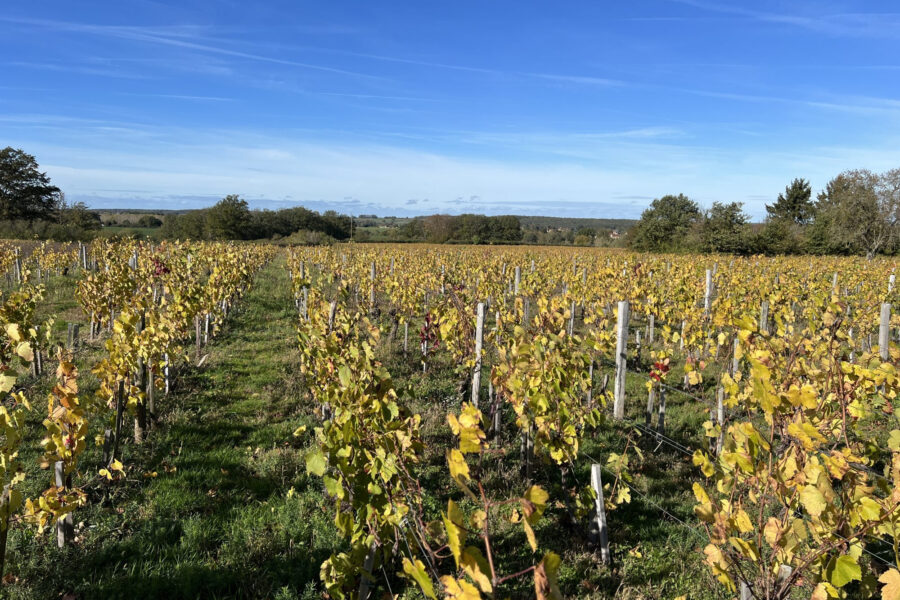Terrain à vendre à Châteaumeillant