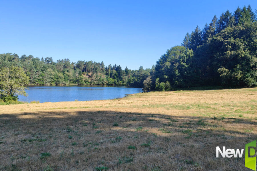 Maison à vendre à Marcillac la croisille — Vue lac — photo 32