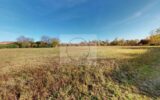Maison à vendre à Reyniès — Vue parc — photo 13