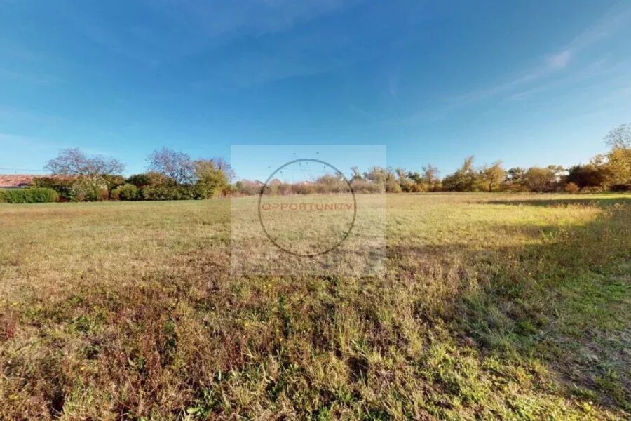 Maison à vendre à Reyniès — Vue parc — photo 13