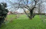 Terrain à vendre à Montauban — Vue nature — photo 1