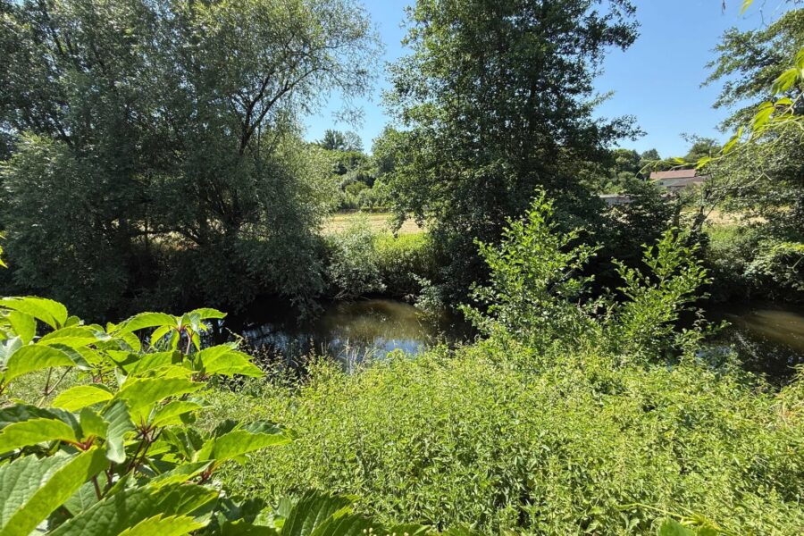 Maison à vendre à Châtillon-sur-saône — Vue nature — photo 36