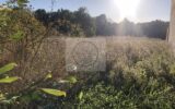 Terrain à vendre à La ferté-gaucher — Vue nature — photo 1