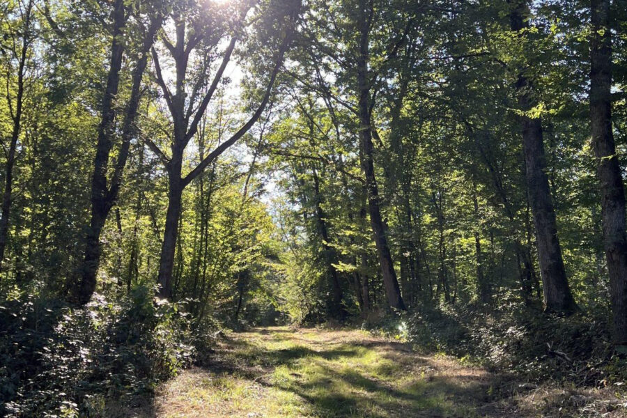 Terrain à vendre à Jouet-sur-l&rsquo;aubois