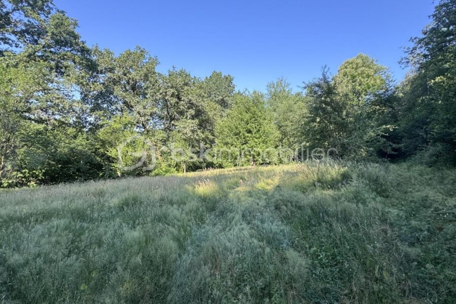 Terrain à vendre à Neufmanil