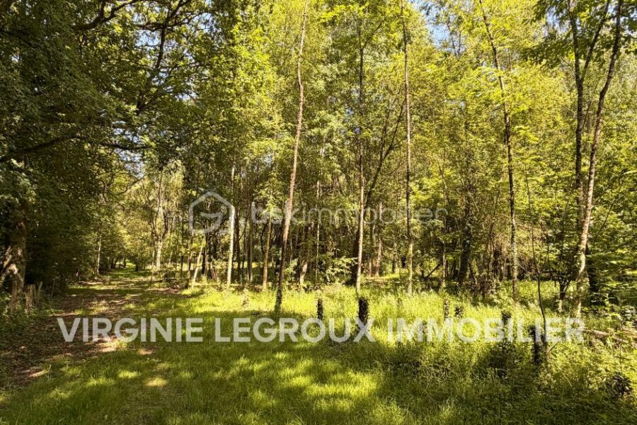 Terrain à vendre à Port brillet — Vue nature — photo 4