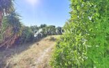 Terrain à vendre à Narbonne — Vue nature — photo 5